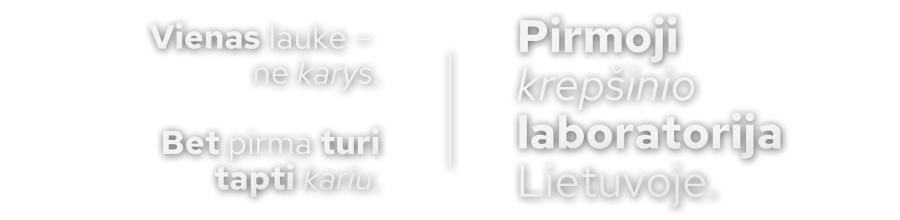 Krepšinio LAB